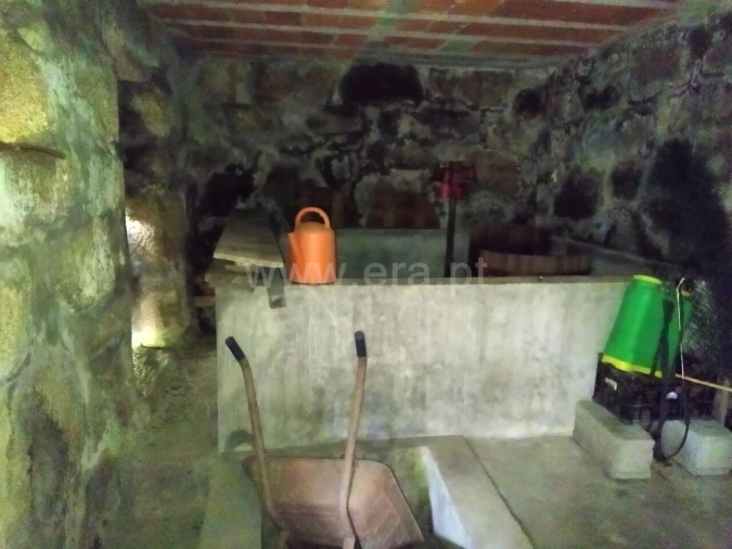 Terreno para Venda em Baião (Santa Leocádia) e Mesquinhata Foto 4