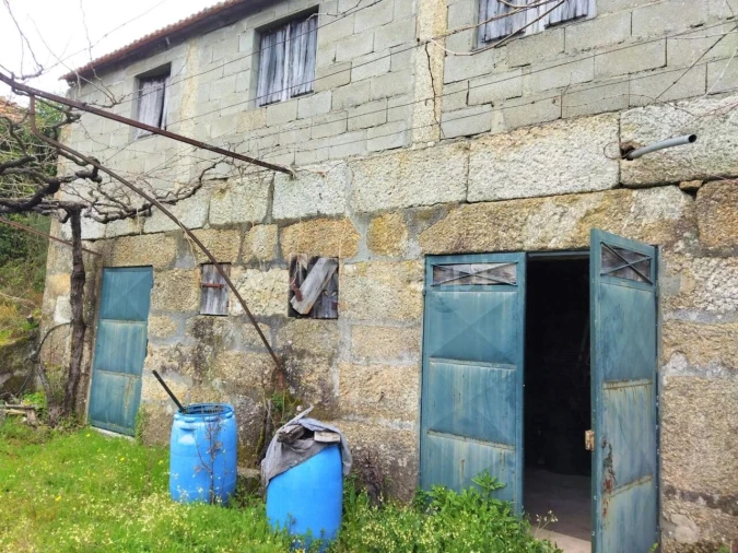 Terreno para Venda em Baião (Santa Leocádia) e Mesquinhata Foto 1