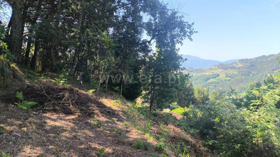Terreno para Venda em Baião (Santa Leocádia) e Mesquinhata Foto 10