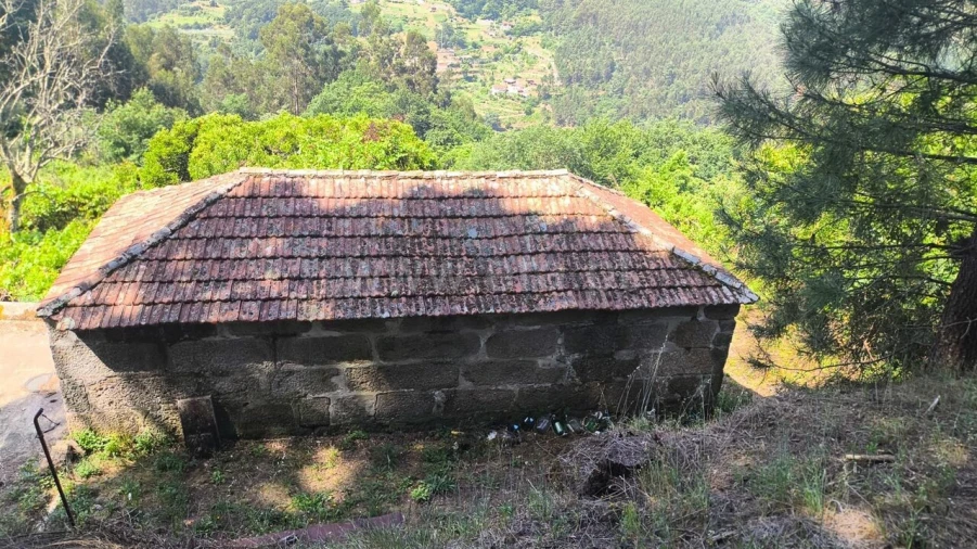 Terreno para Venda em Baião (Santa Leocádia) e Mesquinhata Foto 8