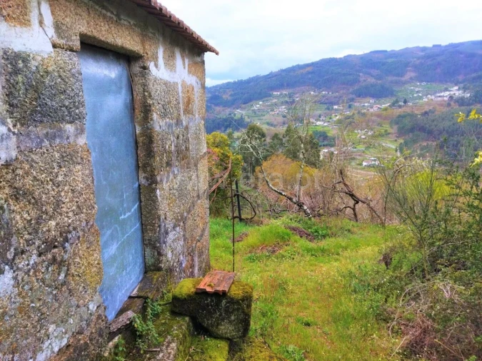 Terreno para Venda em Baião (Santa Leocádia) e Mesquinhata Foto 10