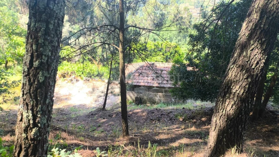 Terreno para Venda em Baião (Santa Leocádia) e Mesquinhata Foto 9