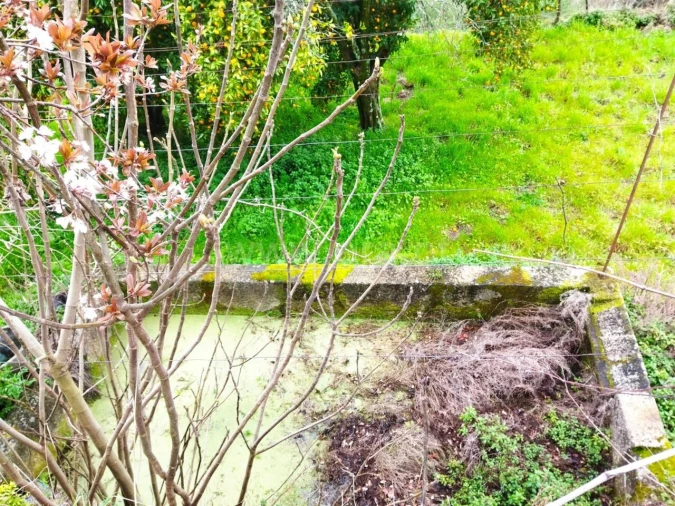 Terreno para Venda em Baião (Santa Leocádia) e Mesquinhata Foto 3