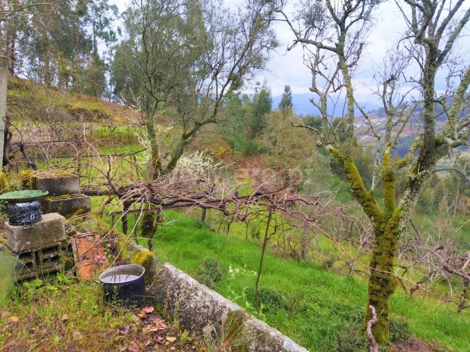 Terreno para Venda em Baião (Santa Leocádia) e Mesquinhata Foto 7