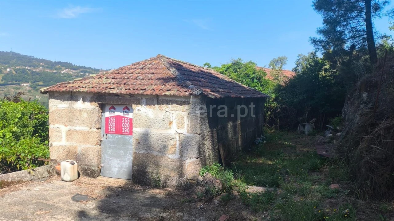 Terreno para Venda em Baião (Santa Leocádia) e Mesquinhata Foto 13