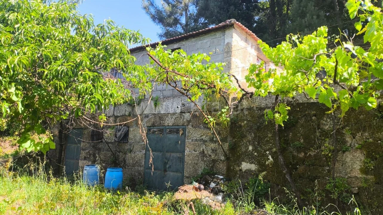 Terreno para Venda em Baião (Santa Leocádia) e Mesquinhata Foto 1