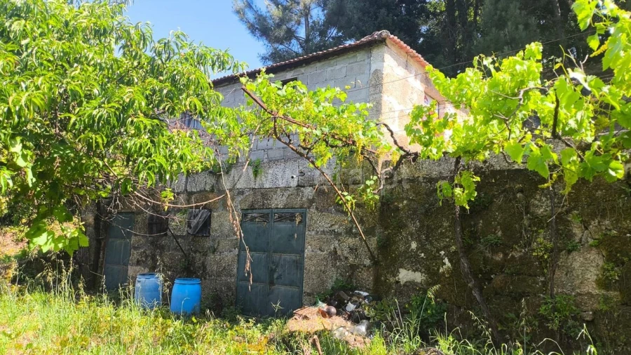 Terreno para Venda em Baião (Santa Leocádia) e Mesquinhata