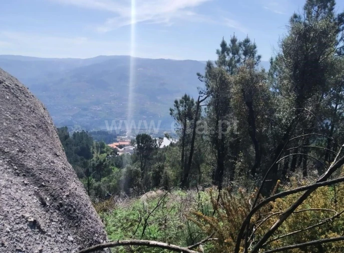 Terreno para Venda em Santa Cruz do Douro e São Tomé de Covelas Foto 2