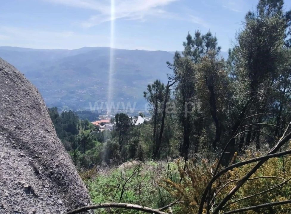 Terreno para Venda em Santa Cruz do Douro e São Tomé de Covelas Foto 2