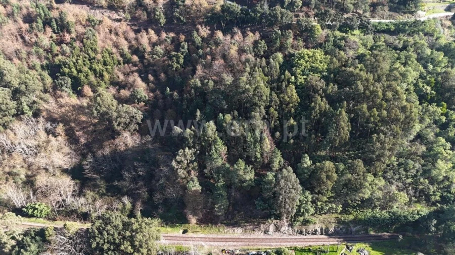 Terreno para Venda em Baião (Santa Leocádia) e Mesquinhata Foto 5