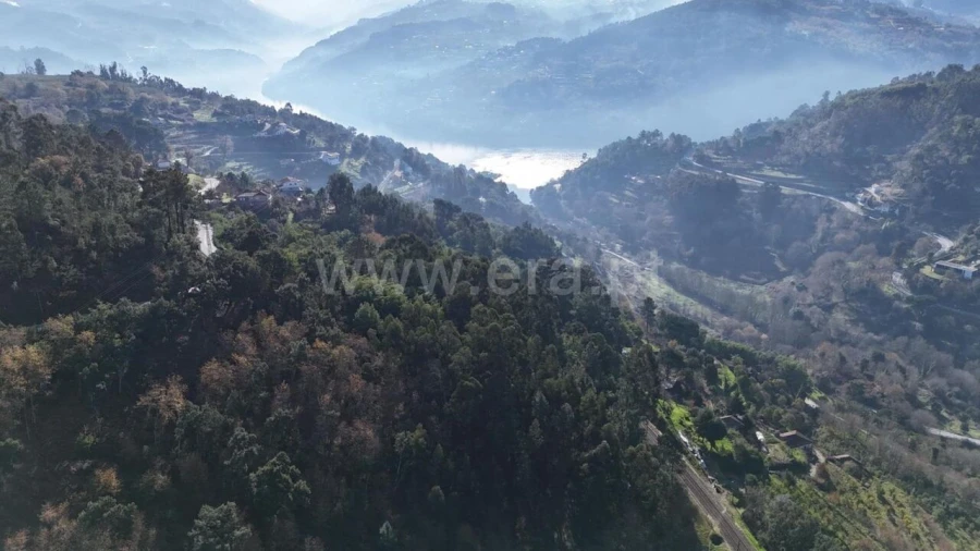 Terreno para Venda em Baião (Santa Leocádia) e Mesquinhata Foto 2