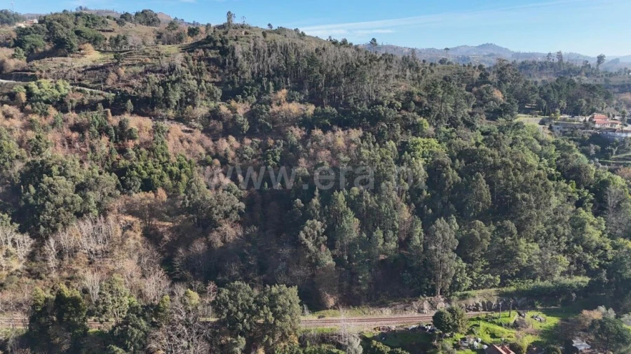 Terreno para Venda em Baião (Santa Leocádia) e Mesquinhata Foto 9