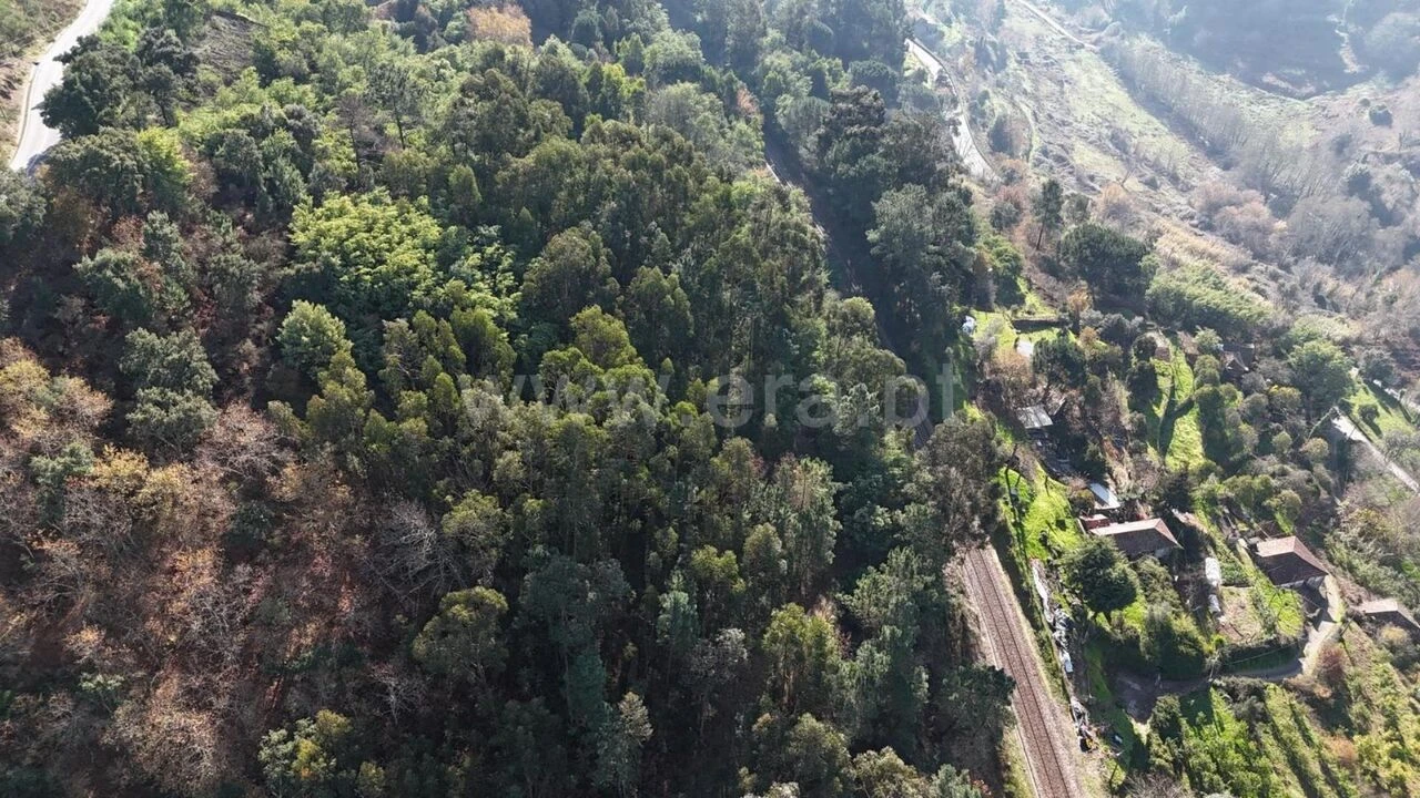 Terreno para Venda em Baião (Santa Leocádia) e Mesquinhata Foto 3