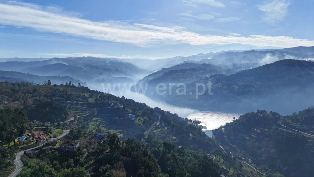 Terreno para Venda em Baião (Santa Leocádia) e Mesquinhata Foto 1