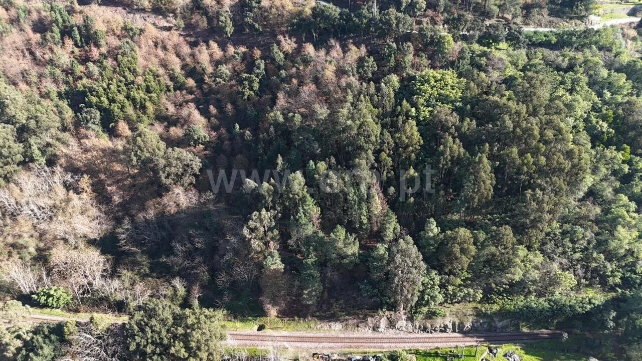 Terreno para Venda em Baião (Santa Leocádia) e Mesquinhata Foto 5