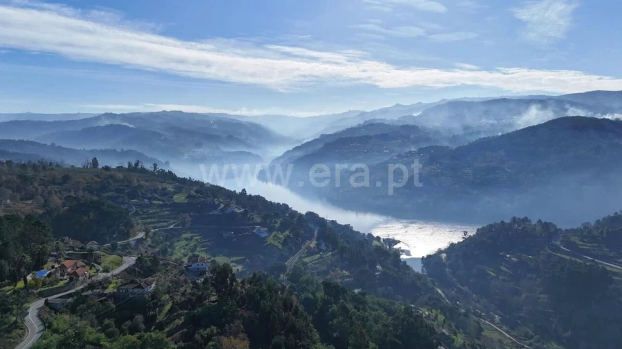 Terreno para Venda em Baião (Santa Leocádia) e Mesquinhata