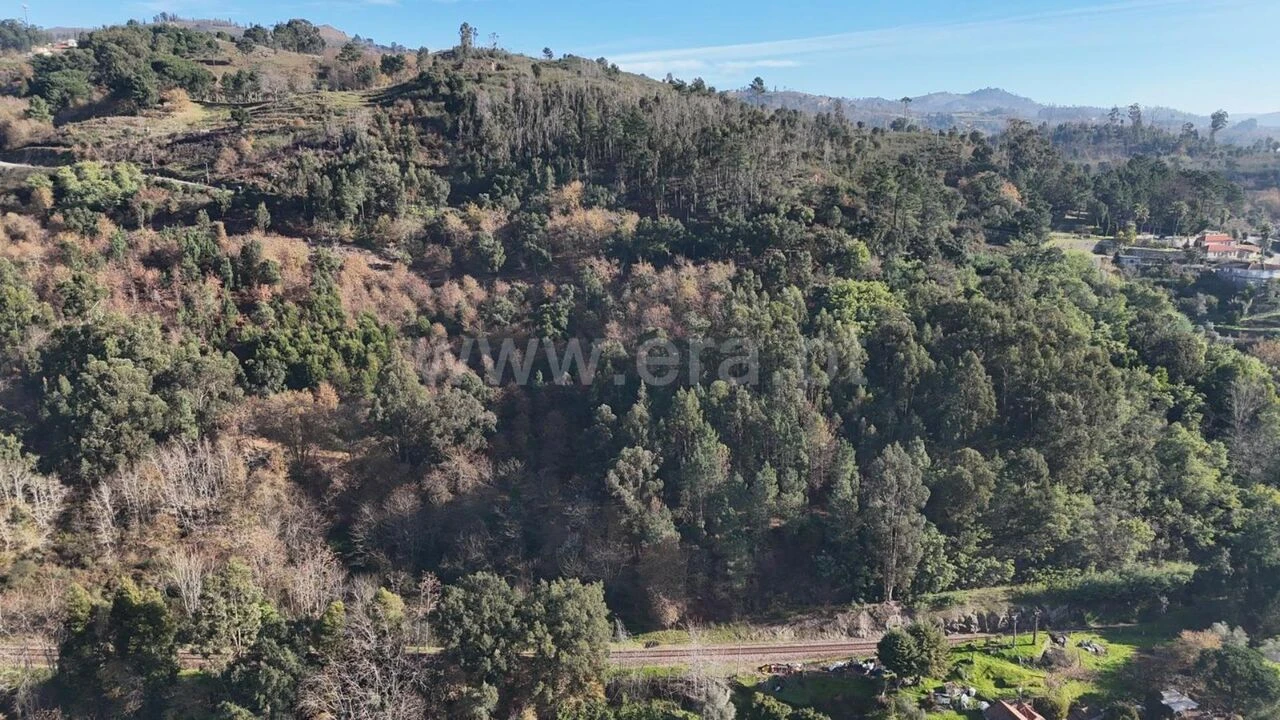 Terreno para Venda em Baião (Santa Leocádia) e Mesquinhata Foto 9