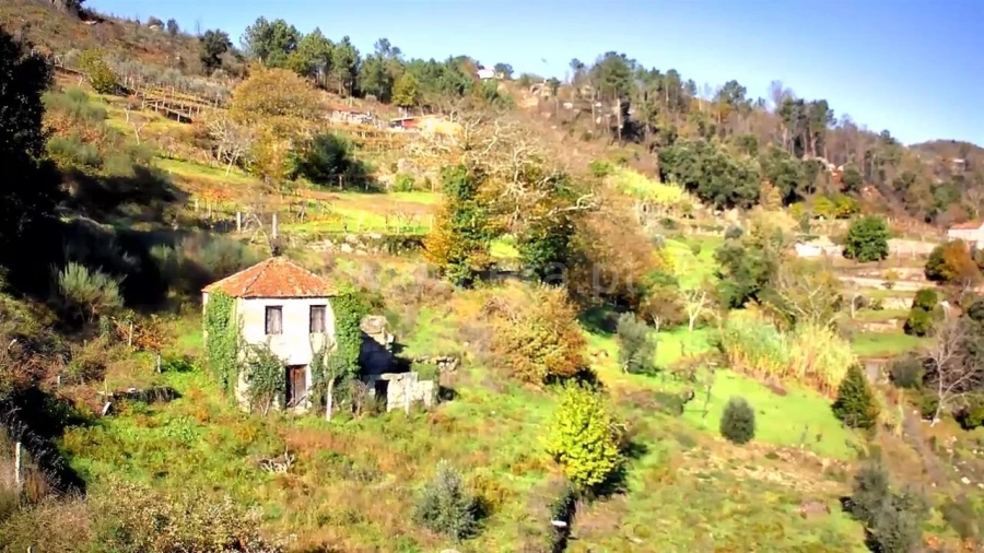 Quinta T0 para Venda em Loivos da Ribeira e Tresouras Foto 3