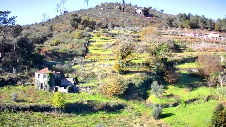Quinta T0 para Venda em Loivos da Ribeira e Tresouras Foto 5