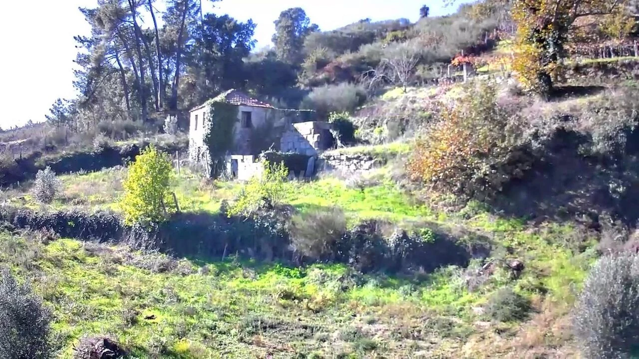 Quinta T0 para Venda em Loivos da Ribeira e Tresouras Foto 6