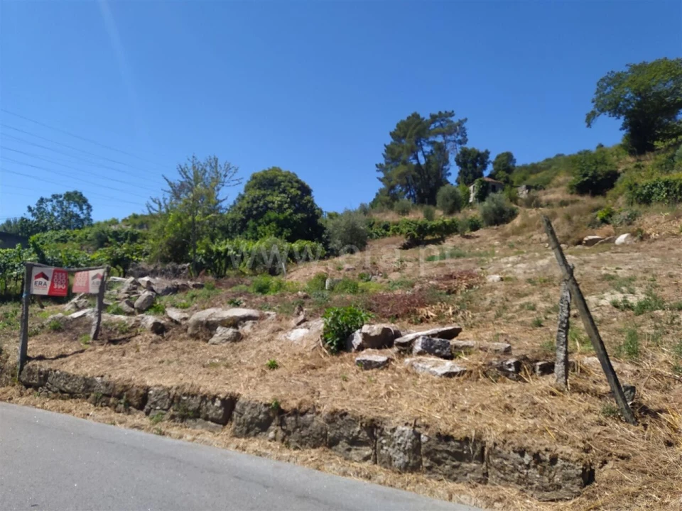Quinta T0 para Venda em Loivos da Ribeira e Tresouras Foto 2