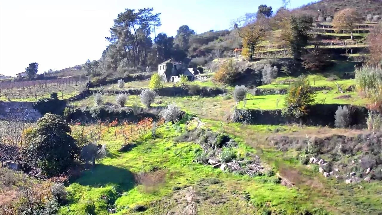 Quinta T0 para Venda em Loivos da Ribeira e Tresouras Foto 7