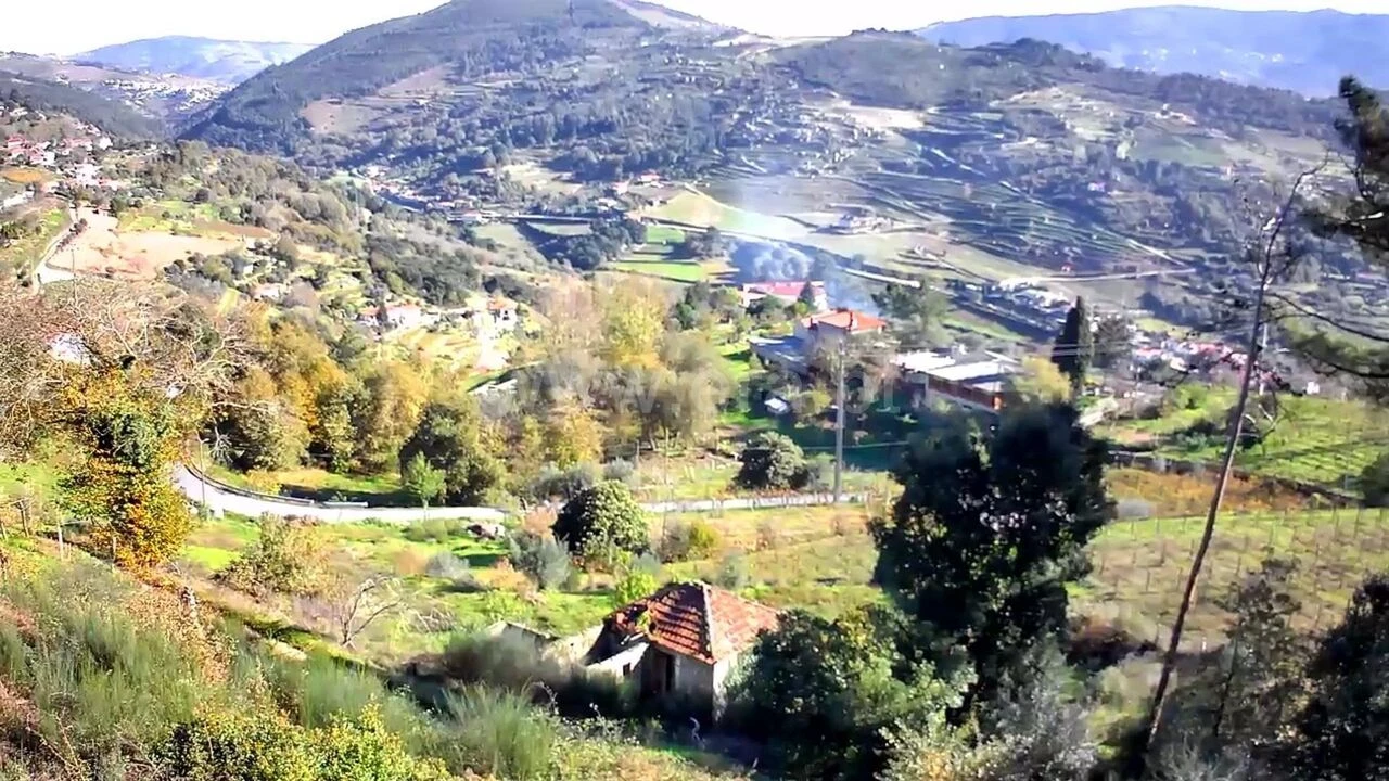 Quinta T0 para Venda em Loivos da Ribeira e Tresouras Foto 4