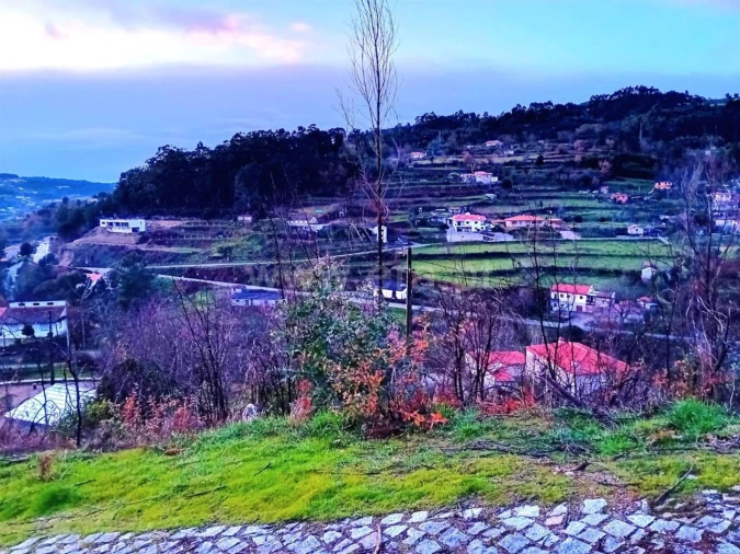 Terreno para Venda em Baião (Santa Leocádia) e Mesquinhata Foto 4