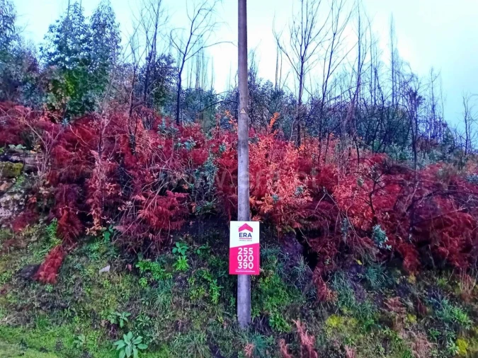 Terreno para Venda em Baião (Santa Leocádia) e Mesquinhata Foto 1
