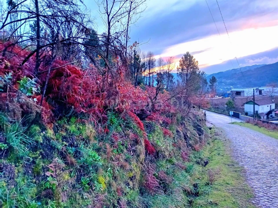 Terreno para Venda em Baião (Santa Leocádia) e Mesquinhata Foto 2