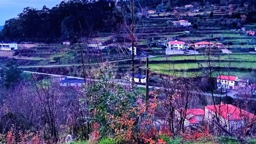 Terreno para Venda em Baião (Santa Leocádia) e Mesquinhata