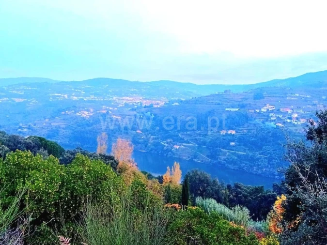 Moradia T0 para Venda em Santa Cruz do Douro e São Tomé de Covelas Foto 7