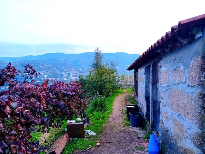 Moradia T0 para Venda em Santa Cruz do Douro e São Tomé de Covelas Foto 4