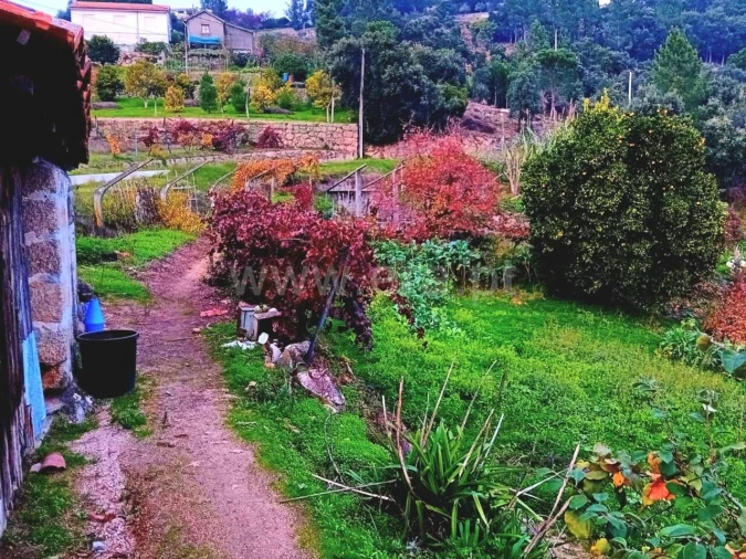 Moradia T0 para Venda em Santa Cruz do Douro e São Tomé de Covelas Foto 3