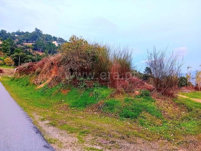Moradia T0 para Venda em Santa Cruz do Douro e São Tomé de Covelas Foto 2