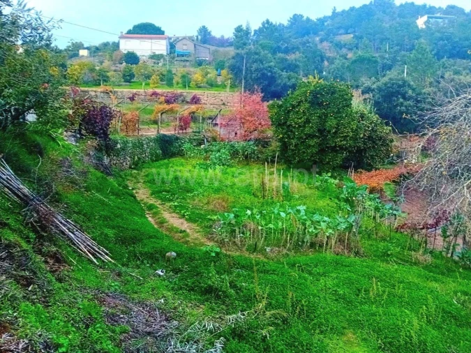 Moradia T0 para Venda em Santa Cruz do Douro e São Tomé de Covelas Foto 5