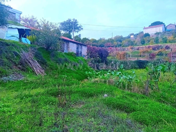 Moradia T0 para Venda em Santa Cruz do Douro e São Tomé de Covelas Foto 6