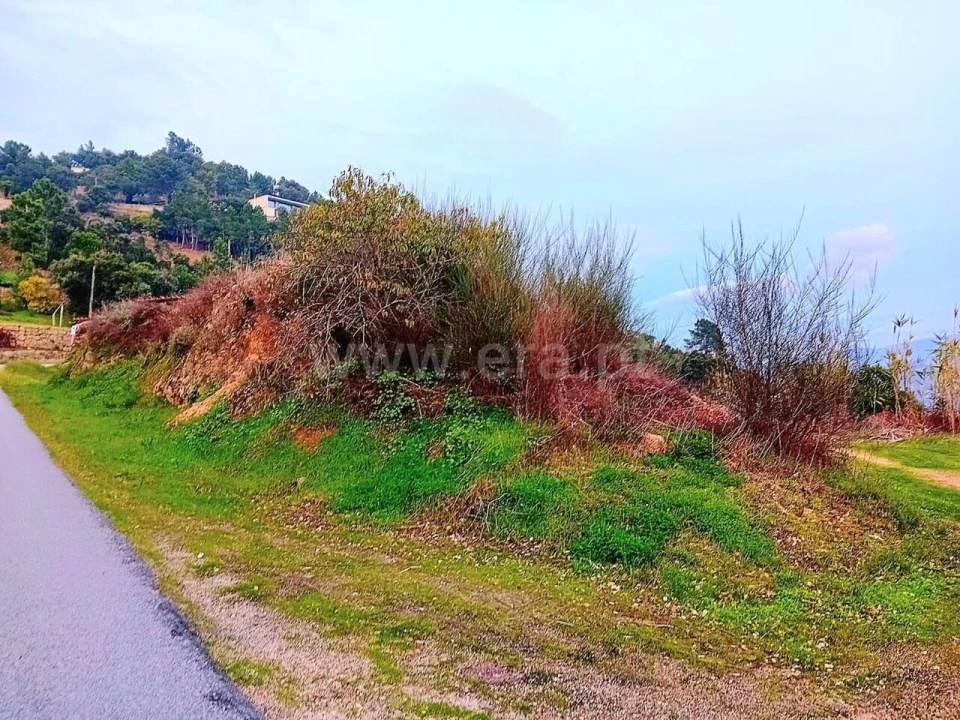 Moradia T0 para Venda em Santa Cruz do Douro e São Tomé de Covelas Foto 2