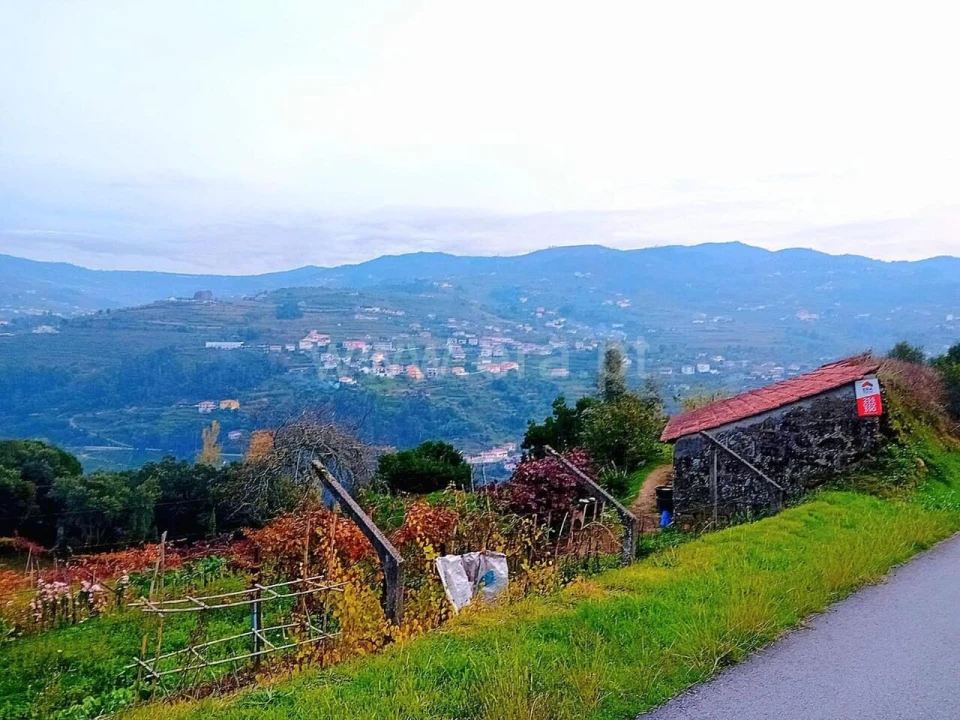 Moradia T0 para Venda em Santa Cruz do Douro e São Tomé de Covelas Foto 8
