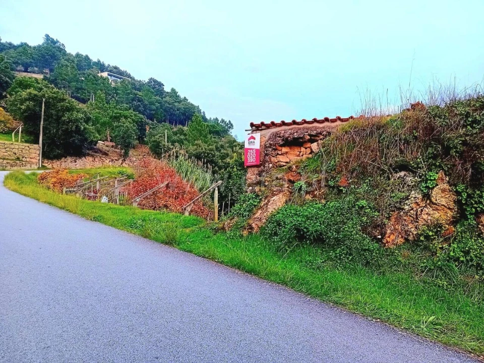 Moradia T0 para Venda em Santa Cruz do Douro e São Tomé de Covelas Foto 1
