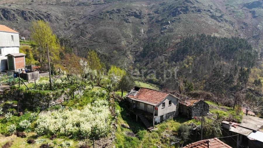Moradia T0 para Venda em Teixeira e Teixeiró Foto 12