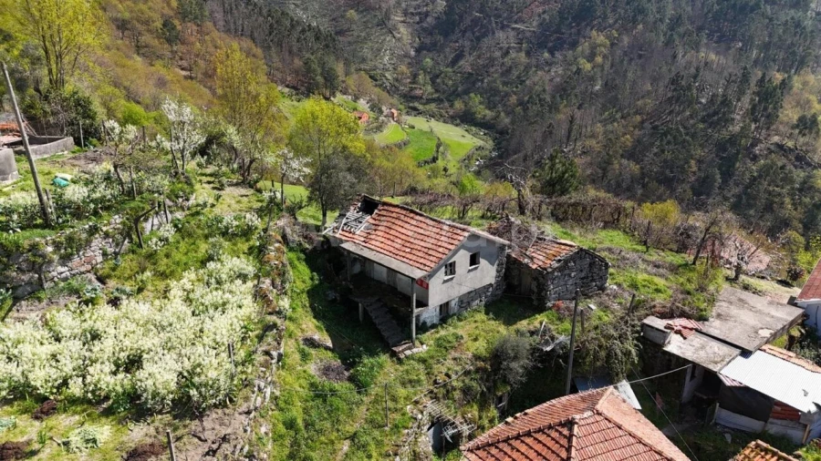 Moradia T0 para Venda em Teixeira e Teixeiró Foto 7