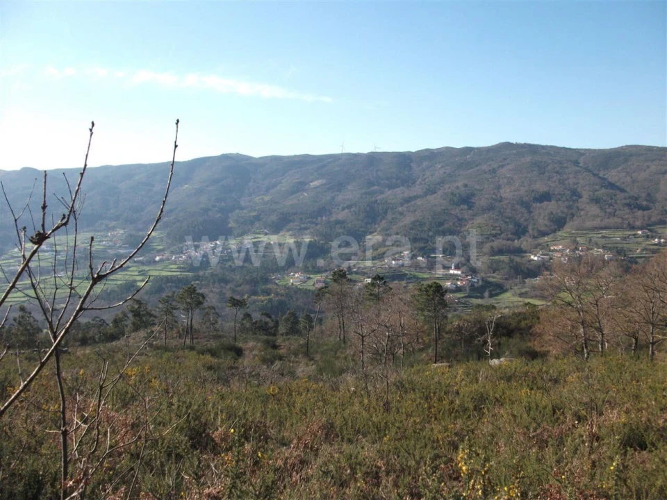 Terreno para Venda em Campelo e Ovil Foto 2