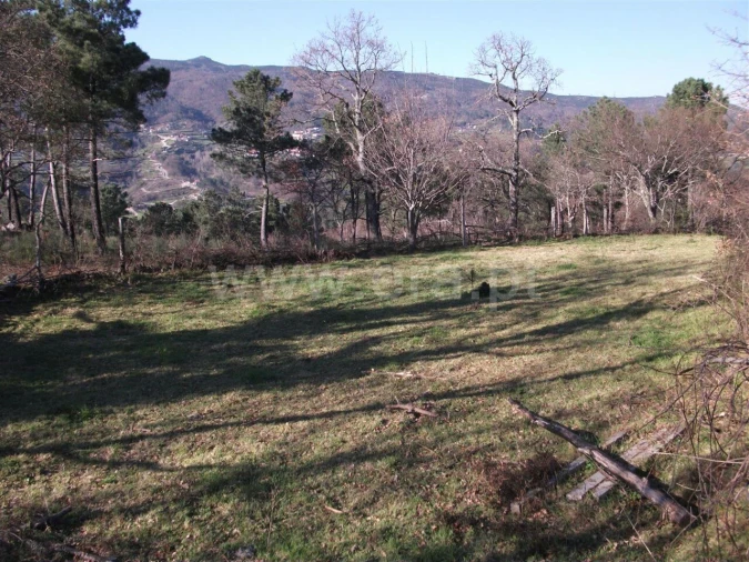 Terreno para Venda em Campelo e Ovil Foto 5