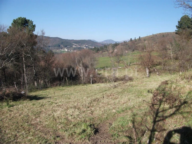 Terreno para Venda em Campelo e Ovil Foto 6