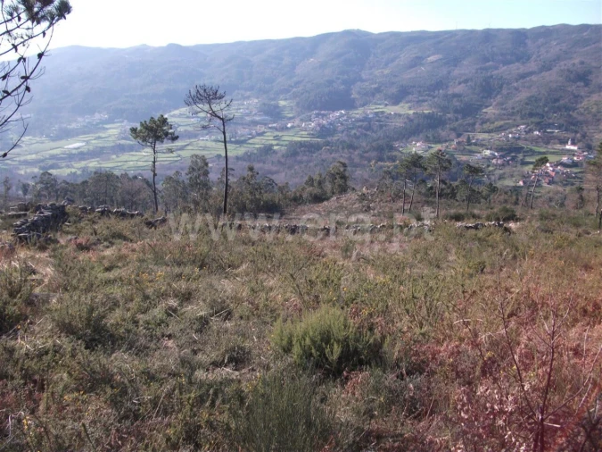 Terreno para Venda em Campelo e Ovil Foto 3