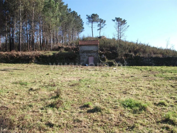 Terreno para Venda em Campelo e Ovil Foto 7