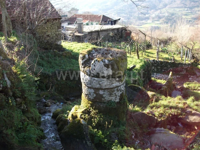 Terreno para Venda em Campelo e Ovil Foto 1