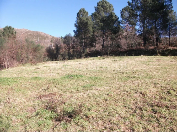 Terreno para Venda em Campelo e Ovil Foto 8