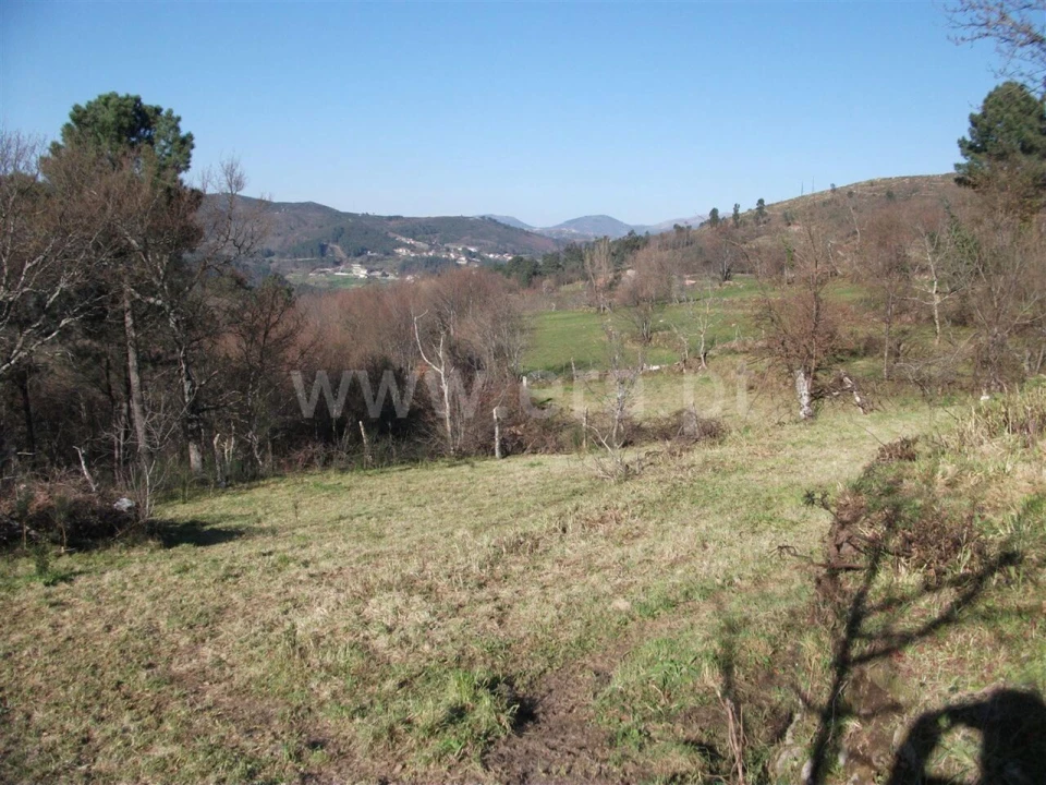 Terreno para Venda em Campelo e Ovil Foto 6